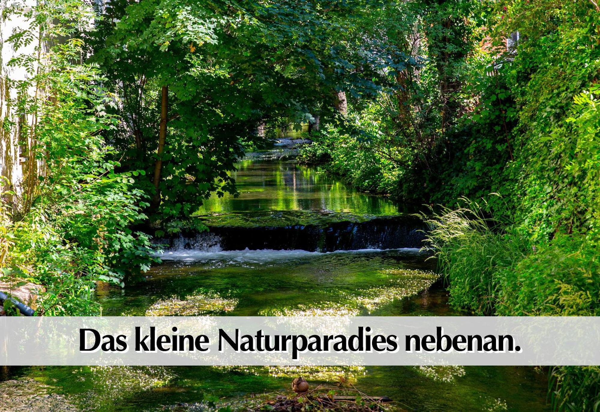 Stadtperle Am Plaetschernden Wasser - 50M2 2R Malerische Fewo In Top Lage Erfurt Eksteriør billede